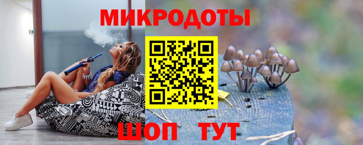 что такое   Вход с VPN  Отрадный  Галлюциногенные грибы Psilocybe  Псилоцибиновые грибы ЛСД 
