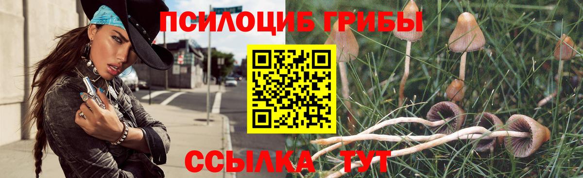 Галлюциногенные грибы мицелий Отрадный